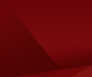 AIGES FORUM
