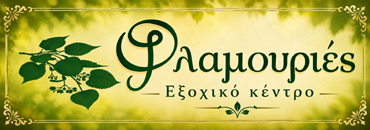ΔΙΑΦΗΜΙΣΤΕΙΤΕ ΕΔΩ