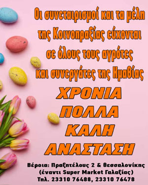 ΚΟΙΝΟΠΡΑΞΙΑ