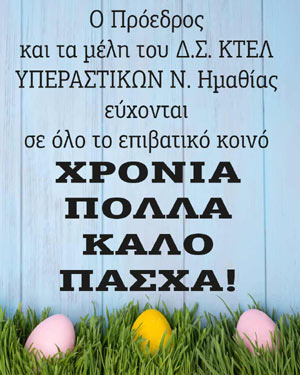 ΚΤΕΛ