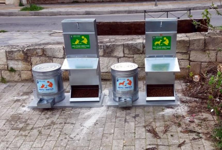 Απουσία πρωτοβουλιών για τα αδέσποτα στον Δήμο Βέροιας