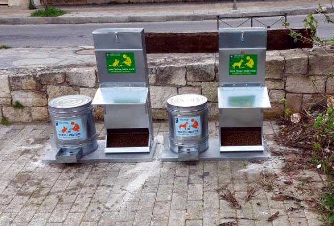 Απουσία πρωτοβουλιών για τα αδέσποτα στον Δήμο Βέροιας