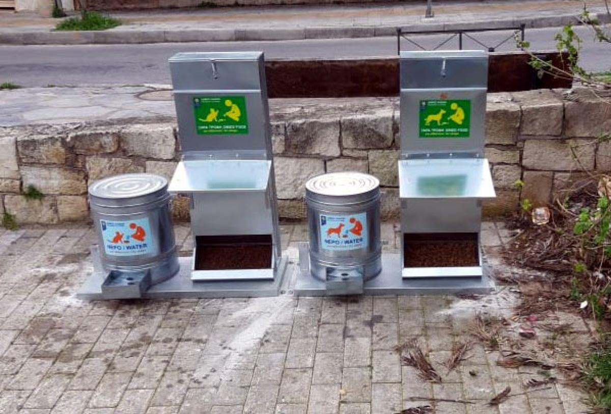 Απουσία πρωτοβουλιών για τα αδέσποτα στον Δήμο Βέροιας
