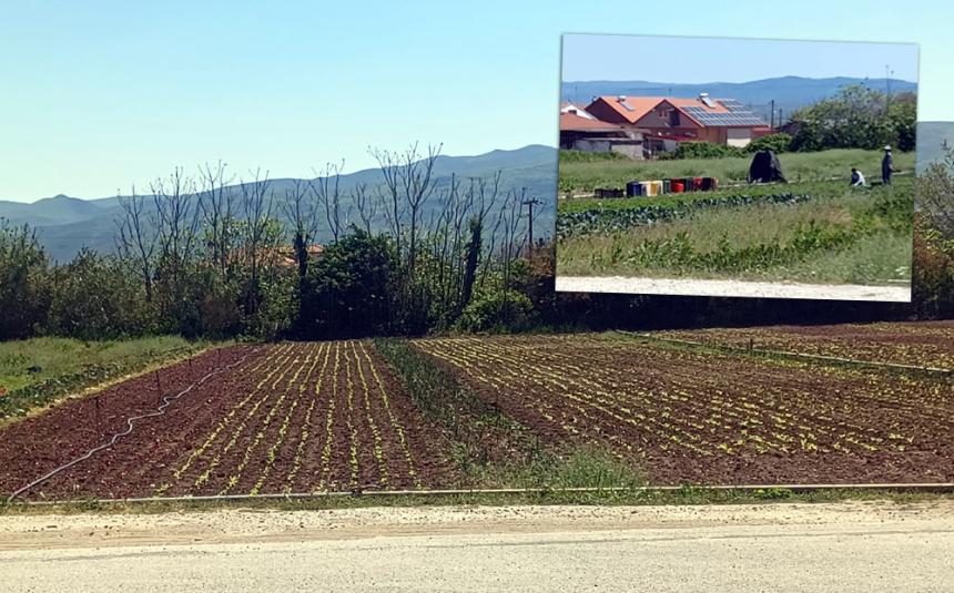 Η επιστροφή των μπαχτσέδων στη Βέροια