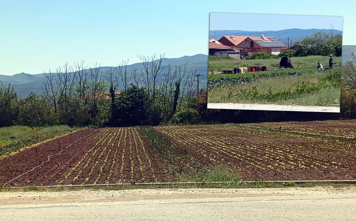 Η επιστροφή των μπαχτσέδων στη Βέροια