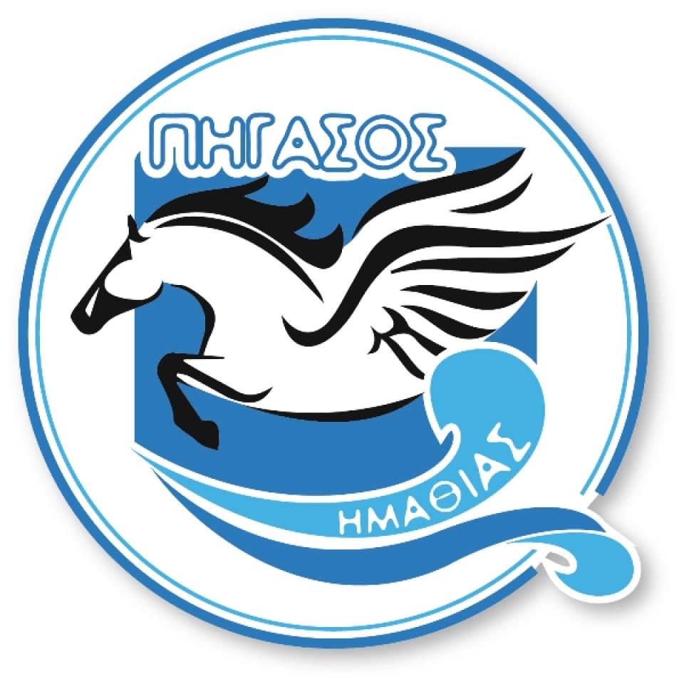 Εκλέχθηκε το νέο Δ.Σ. του Πήγασου Ημαθίας