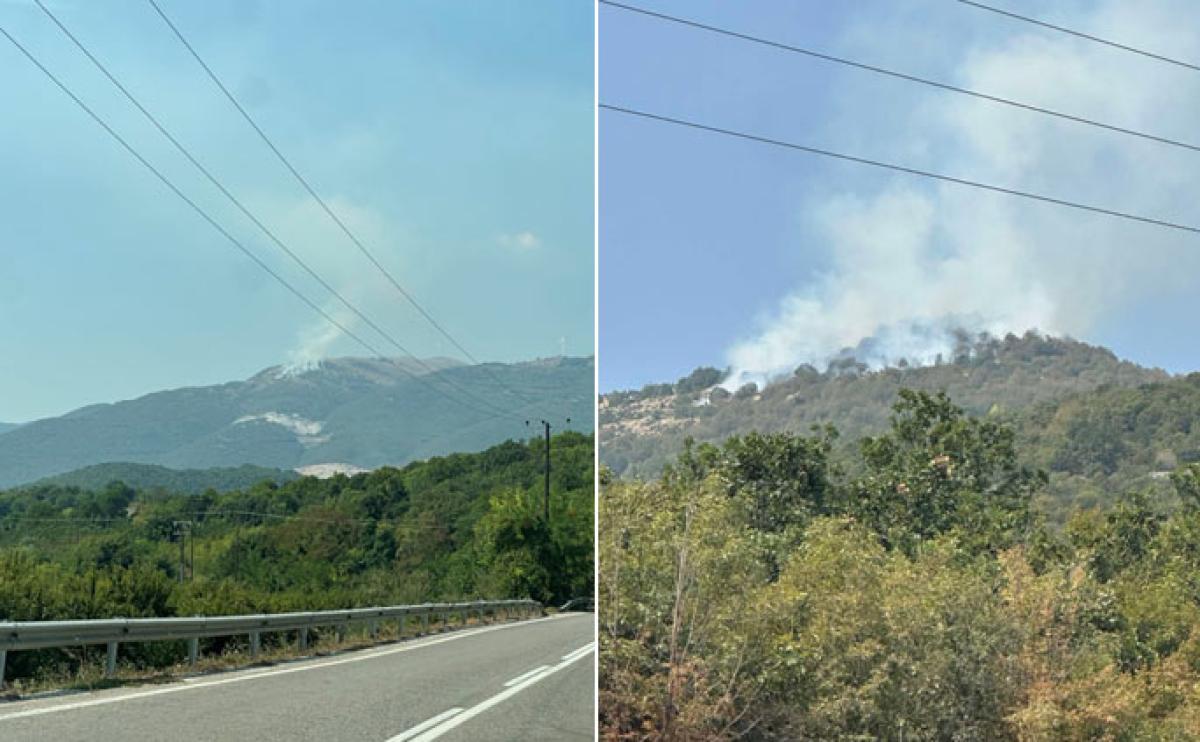 Ξηρολίβαδο: Άμεση επέμβαση Πυροσβεστικής και Πολιτικής Προστασίας Π.Ε. Ημαθίας σε πυρκαγιά πάνω από τις ανεμογεννήτριες
