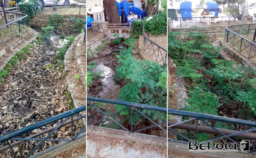 Βέροια: SOS για τα "Παπάκια" - Εικόνα εγκατάλειψης σε έναν πνεύμονα πρασίνου της πόλης