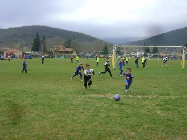 ΤΟ ΠΡΟΓΡΑΜΜΑ ΤΜΗΜΑΤΩΝ ΥΠΟΔΟΜΗΣ ΤΗΣ ΑΚΑΔΗΜΙΑΣ Β.
