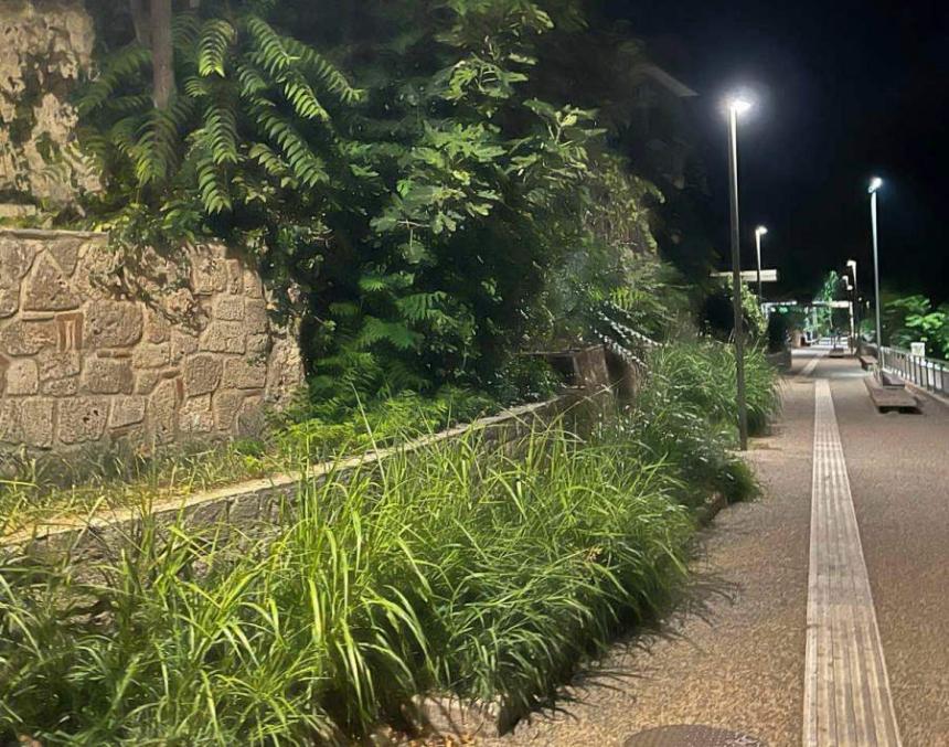 Βέροια: Εικόνα εγκατάλειψης στην οδό Εβραίων Μαρτύρων στη Μπαρμπούτα