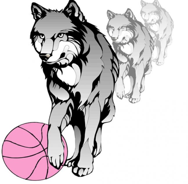 Σήμερα η παρουσίαση του ΑΟΚ Βέροιας