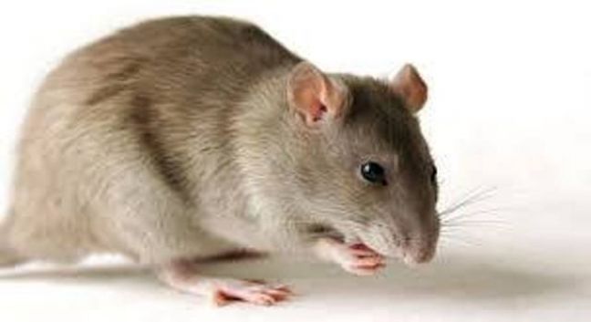 Κοίτα ποιοι μιλάνε