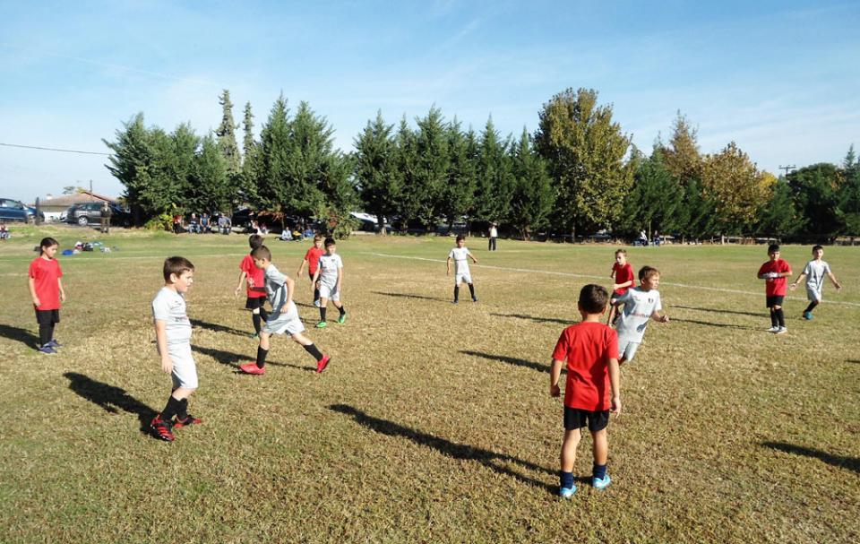 Συνέχεια στις νίκες για τις ομάδες των τμημάτων υποδομής της ΠΑΕ ΒΕΡΟΙΑ