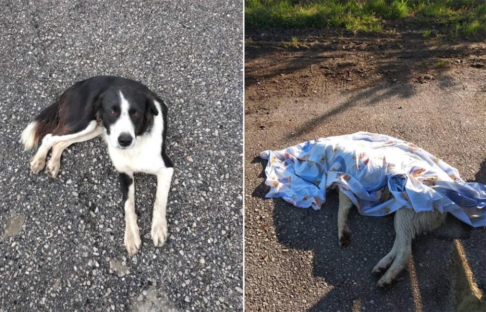 Ντροπή για αυτό που έγινε στο προπονητικό κέντρο της ΠΑΕ ΒΕΡΟΙΑ!